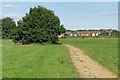 Footpath towards Jennett's Park in RG12 8BX