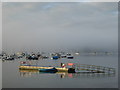 The ferry jetty in early morning mist at high tide in TR12 6JL