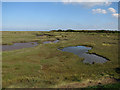 Public footpath across saltmarsh in NR23 1LG
