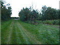 The Dunstalls near Ely in Ely East Ward
