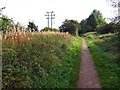 Power lines alongside the Southwell Trail in NG22 8LP
