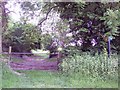 Footpath to Knighton in Broad Chalke