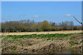 Farmland by the Chichester canal in PO20 7PW