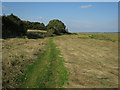 Norfolk Coast Path, Warham Greens in Warham