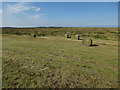 Baled grass, Warham Greens in Warham