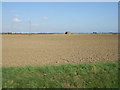 Flat farmland near Lomglands Farm in LN13 0PF