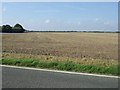 Flat farmland off the A1031 in LN12 1PZ