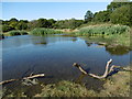 Hollow Pond on Leyton Flats in E11 1NP