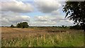 Fields to east of East Lound in DN9 2LU