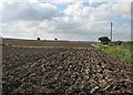 Ploughed and cultivated fields in CB10 1QB