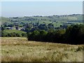 Rough pasture near the Witton Weavers' Way in BL7 0LN