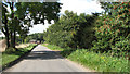 View along Decoy Road in NR29 3LW
