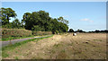 Stubble field beside Martham Road in NR29 5EA