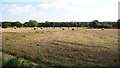 Straw bales by Hill Farm in NR29 5EA