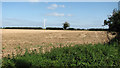 Harvested field east of Martham in NR29 4QQ