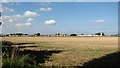 Stubble field east of Martham in NR29 4QQ