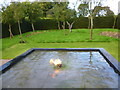Waterflame at Houghton Hall, Norfolk - Photo 1 of 3 in PE31 6UE