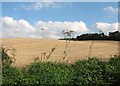 Stubble and a field-edge ditch in CB10 1RJ