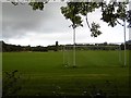 Pitches, Pollok Park in G52 1TW