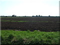 Farmland near Oakleigh in LN13 9SQ