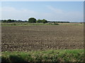 Farmland north of Hogsthorpe in PE24 5QD