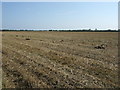 Stubble field near Helsey in PE24 5PD