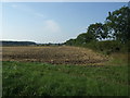 Farmland and hedgerow in Authorpe