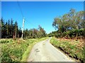 Heol y Coedwigoedd / Forestry Road in SA32 7QR