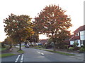 Autumn colour on Robert Avenue, St Albans in AL1 2HL