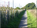 Path alongside the Metro line in NE36 0SU