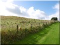 Field on the edge of Barrhead in G78 2FA