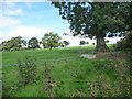 Wooded farmland, between Thorpe and Kirkbarrow in CA10 2LL