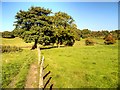 Path and Fence East of the Railway at Burrs in BL9 6QD