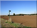 Footpath across a harrowed field in S25 2PB