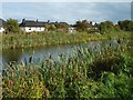 Forth and Clyde Canal at Mountblow in G81 4NP