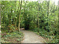 Path in Birchanger Wood in CM23 5RG
