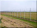 Stansted Airport boundary fence in CM24 1QJ