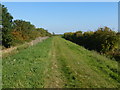 North Fen Side - a byway near Haddenham in CB6 3TJ