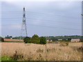 Pylon in the landscape in CM22 6JE