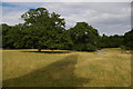 Ickworth Park: looking north-east from the monument to the Earl-Bishop in IP29 5RH