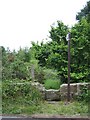 Old Stile and Footpath on Station Lane in CH7 4JS