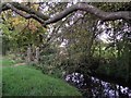 Footbridge over a tributary of Rothley Brook in LE3 8GL