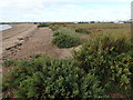 Shingle ridge, West Mersea in CO5 8QD