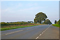 A1304 towards Newmarket in CB8 0UU