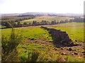 A stone wall field boundary in AB31 4LU