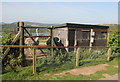 Ostrich enclosure at the Welsh Mountain Zoo in LL28 5YE