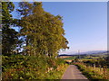 Road past the wood on the flank of Fontenoy Hill in AB31 4LU