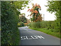 Cross roads of Crown Lane and Crutch Lane, Elmbridge in WR9 0DA