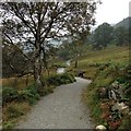 Path in Great Langdale in LA22 9JZ