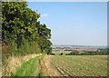 A long view from the Icknield Way Path in CB21 4NU
